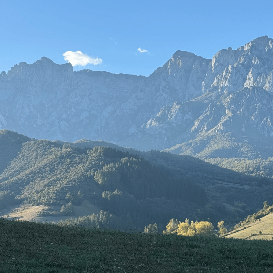 Saunas en picos de europa